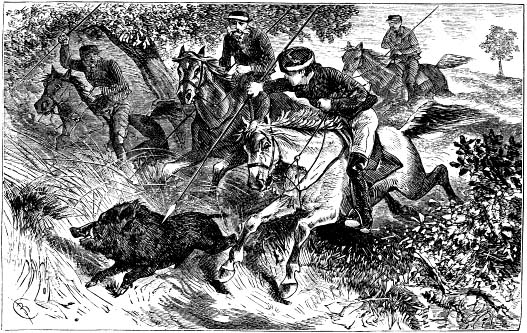 Boar hunting on horseback in India